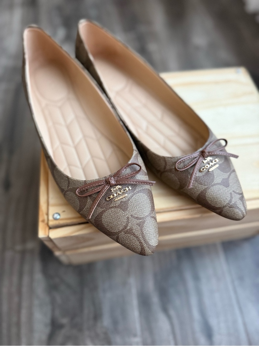 NEW Coach Signature Canvas Pointed Toe Ballet Flats – Sz 10 / 40.5